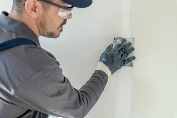 Best Commercial Mold Inspection  in Edgar, WI