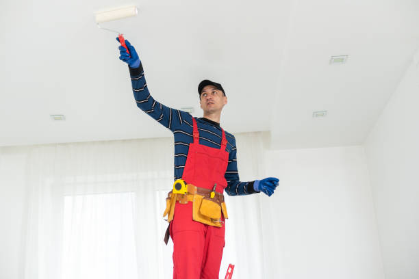 Best Black Mold Removal  in Edgar, WI