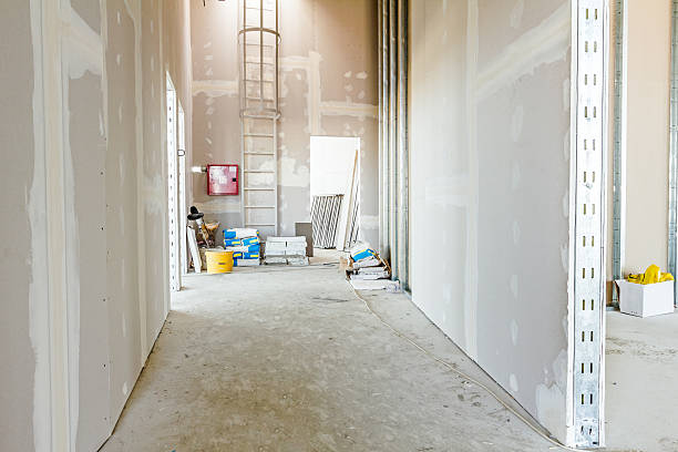 Best Mold Remediation for Vacation Homes  in Edgar, WI